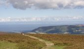 Tour Zu Fuß Somerset West and Taunton - Walking in Exmoor: Day Two - Photo 3