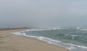 Trail Walking Canet-en-Roussillon - st cyprien, entre mer et étang  - Photo 14
