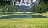 Excursión Senderismo Montriond - Lac de Montrion, cascade d’Argent - Photo 5