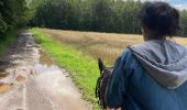 Trail Horseback riding Brouville - Brouville grammont fred Nadine Tivio  - Photo 7