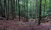 Tour Wandern Gemeinde Au - dernière balade à Au - Photo 4