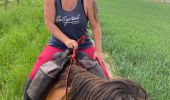 Trail Horseback riding Hériménil - Herimenil baignade Tivio Kenzo tiboy  - Photo 18