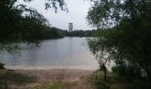 Tour Wandern Lommel - sahara lommel  - Photo 2