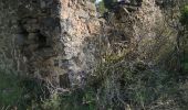 Trail Walking Signes - oppidum essai - Photo 2