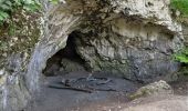 Excursión A pie Csobánka - Mackó-barlang ösvény (Csobánka, Oszoly-pihenő - Mackó-barlang - Csobánka, Oszoly-pihenő) - Photo 9