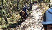 Trail Horseback riding Gresswiller - Triggur gresswiller cva  - Photo 2