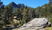 Tocht Stappen Le Pla - Roc blanc .étang du Laurenti (Ariège ) - Photo 8