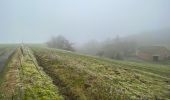 Trail Walking Cerfontaine - Eau d’heure  Hiver  - Photo 1