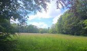 Trail Walking Spa - les eaux au sud de Spa  - Photo 4