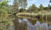 Trail Walking Roquebrune-sur-Argens - Roquebrune - MF de Palaison - Photo 2