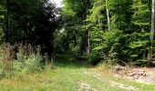 Randonnée Marche Montgobert - en forêt de Retz_83_les Champs Mentard_le Fond d'Argent - Photo 4