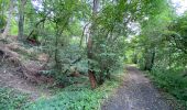 Tour Wandern Tervuren - Duisburg 9,7 km - Photo 4