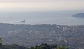 Tour Wandern Toulon - le mont faron - Photo 8