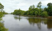 Randonnée Marche Mûrs-Erigné - Mûrs Érigné - Photo 7