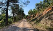 Tour Wandern Vaugines - Luberon Vaugines Cucuron  - Photo 7