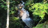 Tocht Stappen Wildenstein - TREK ALSACIEN (boucle sentier de la pierre sauvage) - Photo 5