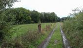 Tocht Stappen Tinlot - Ramelot  - Photo 1