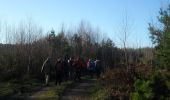 Tour Wandern Quevillon - 20211218-Quevillon  - Photo 16