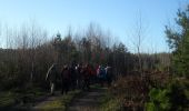 Trail Walking Quevillon - 20211218-Quevillon  - Photo 16