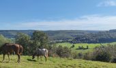 Trail Walking Trooz - La balade des casseroles  - Photo 3