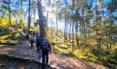 Excursión Senderismo Noisy-sur-École - Boucle 24 km Fontainebleau Arbonne - Photo 4