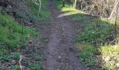 Trail Walking Lyon - Croix Rousse-Caluire et Cuire-Tête d'Or-Croix Rousse - Photo 8