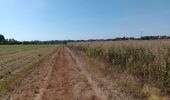 Percorso Marcia Saint-Vit - saint vit - velesmes-essarts /  autour du bois des saussottes - Photo 2