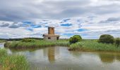 Tour Wandern Vic-la-Gardiole - Circuit des salines  - Photo 5