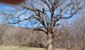 Trail Walking Lardiers - LARDIERS . BERGERIE DU GROS CHENE O - Photo 5