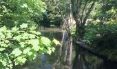 Trail Walking La Ferté-Alais - T-Misery - Photo 12