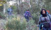 Trail Walking Roquebrune-sur-Argens - Le Peigros depuis le Bougnon - Photo 4