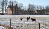 Tour Zu Fuß Renkum - Dunoroute - Photo 4