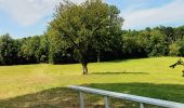 Randonnée Marche Thimister-Clermont - Au fil de la Berwinne vers Val Dieu - Ballade touristique - Photo 2