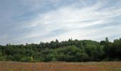 Tour Zu Fuß Römhild - Wanderroute I im Gleichberggebiet - Photo 3