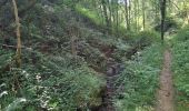 Trail Walking Arthès - Arthès Saint-Juéry Les Avalats en boucle - Photo 11
