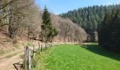 Trail Walking Burg-Reuland - Burg Reuland 180423 - Photo 9