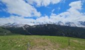 Excursión Bici de montaña Le Grand-Bornand - Balcon des Aravis - Photo 4