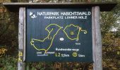 Trail On foot Fritzlar - Rundwanderweg 