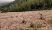 Randonnée Marche Les Arcs-sur-Argens - font du loup vers taradeau les arcs - Photo 14