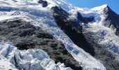 Trail Walking Chamonix-Mont-Blanc - Glaciers des Bossons  - Photo 1