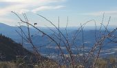 Trail Walking Digne-les-Bains - courbon la bigue 15kms  900m - Photo 5