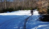 Tocht Stappen Saint-Martin-en-Vercors - les pas de l'Allier - Photo 3