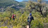 Trail Walking Le Pradet - SityTrail - le Pradet les trois forts - Photo 13