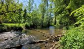 Tour Wandern Chimay - rando lompret 26-05-2023 - Photo 6