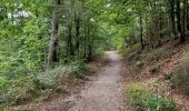 Trail Walking Bouillon - Promenade du Moulin du Rivage. (3,5km) - Photo 16