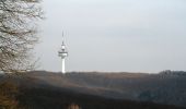 Percorso A piedi Gemeinde Klosterneuburg - Stadtwanderweg 8 - Sofienalpe - Photo 6