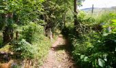 Tocht Stappen Dienne - Cantal - Dienne - Drils et Laqueille - 7.2km 205m 2h50 - 2019 07 05 - Photo 4