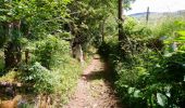 Percorso Marcia Dienne - Cantal - Dienne - Drils et Laqueille - 7.2km 205m 2h50 - 2019 07 05 - Photo 4