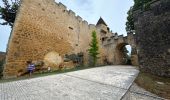 Randonnée Marche Vitrac - Vitrac, Périgord, journée un - Photo 7