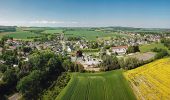 Tour Zu Fuß Steina - Gersdorf - Schwedenstein - Photo 2